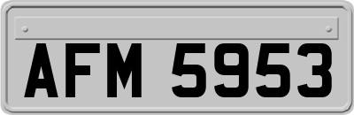 AFM5953