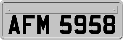 AFM5958