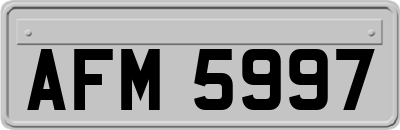 AFM5997
