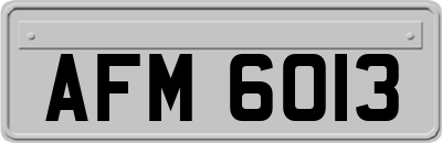 AFM6013