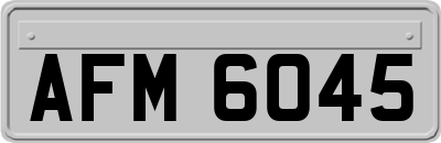 AFM6045