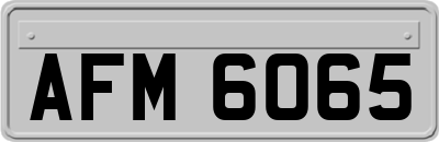 AFM6065