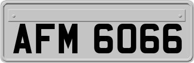 AFM6066