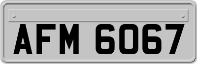 AFM6067