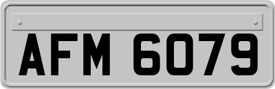 AFM6079