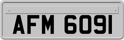 AFM6091