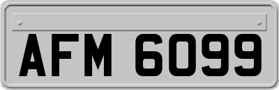 AFM6099