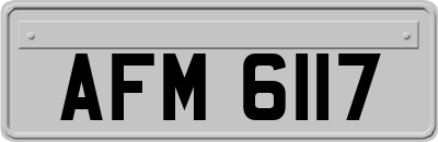 AFM6117