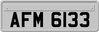 AFM6133