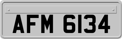 AFM6134