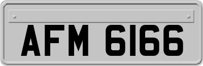 AFM6166