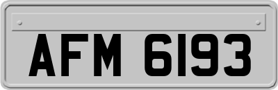 AFM6193
