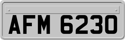 AFM6230