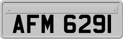 AFM6291