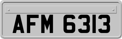 AFM6313