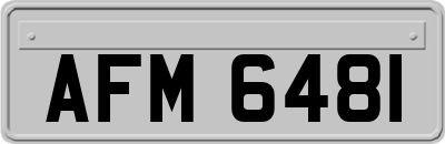 AFM6481