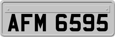 AFM6595