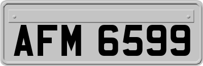 AFM6599