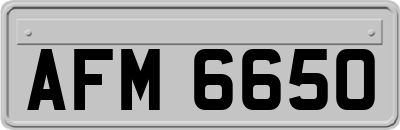 AFM6650