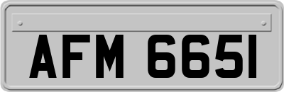 AFM6651