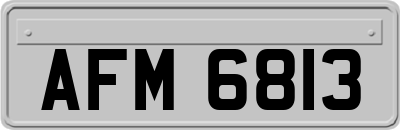 AFM6813