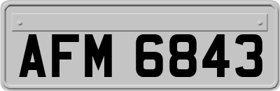 AFM6843