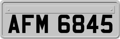 AFM6845
