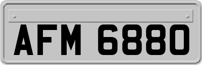 AFM6880
