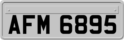 AFM6895