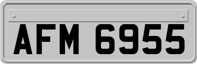 AFM6955