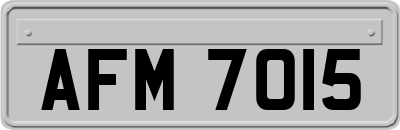 AFM7015