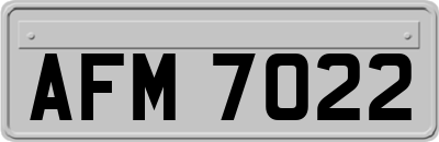 AFM7022