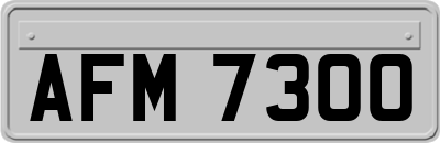 AFM7300