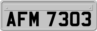 AFM7303