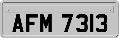 AFM7313