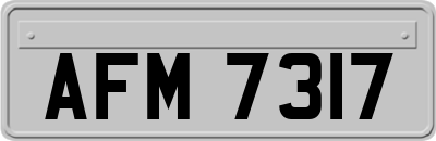 AFM7317