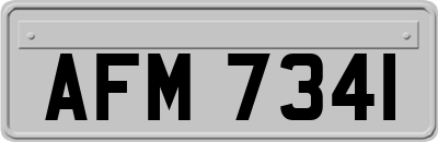 AFM7341