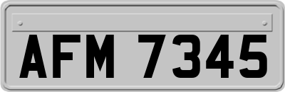AFM7345