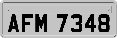 AFM7348