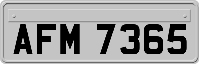 AFM7365