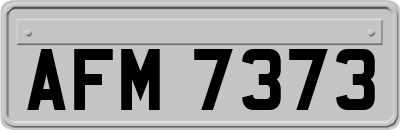 AFM7373