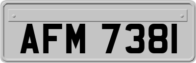 AFM7381