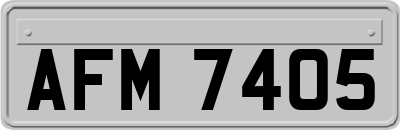 AFM7405