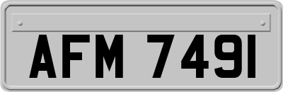 AFM7491