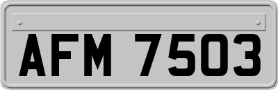 AFM7503