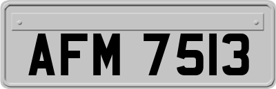 AFM7513