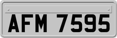 AFM7595