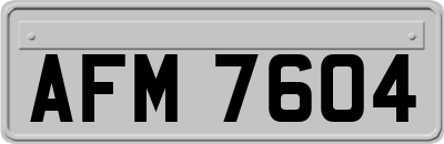 AFM7604