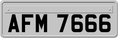 AFM7666