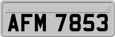 AFM7853